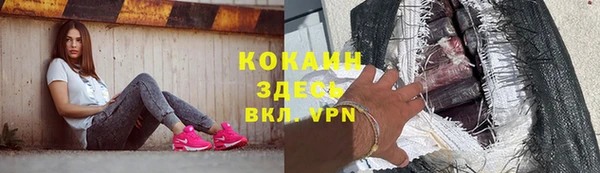 2c-b Пестово