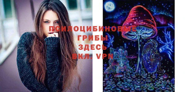 эйфоретик Покачи