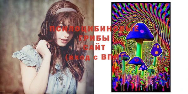 spice Пересвет
