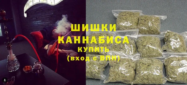 2c-b Пестово