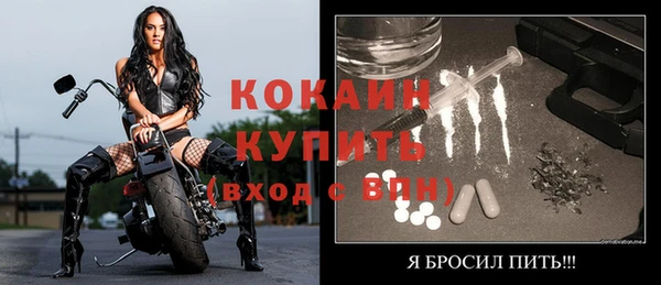 2c-b Пестово