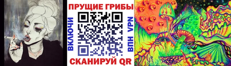 Купить где  Макарьев  Псилоцибиновые грибы ЛСД 